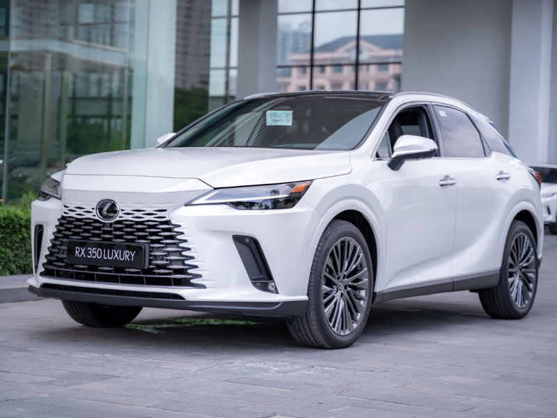 Lexus RX thích nghi với mọi điều kiện đường sá